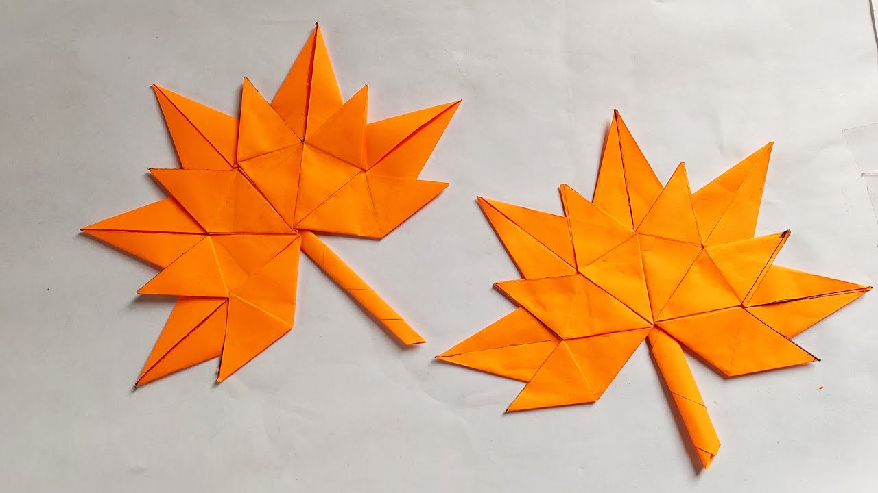 Immigration and Study Abroad